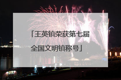 王英镇荣获第七届全国文明镇称号