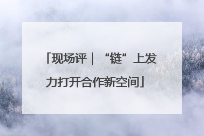 现场评｜“链”上发力打开合作新空间