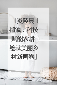 炎陵县十都镇：科技赋能农耕 绘就美丽乡村新画卷