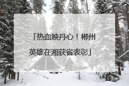 热血映丹心！郴州英雄在湘获省表彰