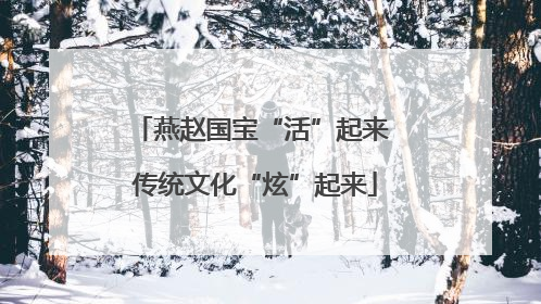 燕赵国宝“活”起来 传统文化“炫”起来