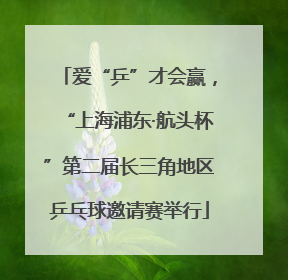 爱“乒”才会赢，“上海浦东·航头杯”第二届长三角地区乒乓球邀请赛举行