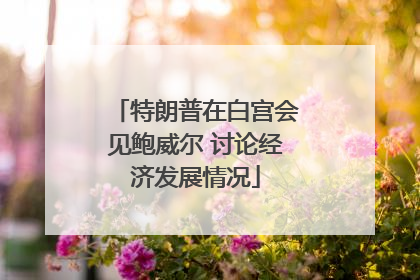 特朗普在白宫会见鲍威尔 讨论经济发展情况