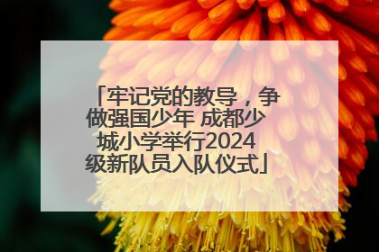 牢记党的教导，争做强国少年 成都少城小学举行2024级新队员入队仪式