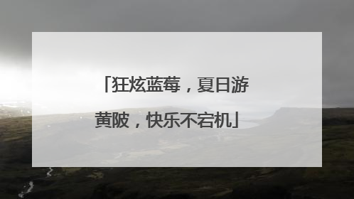 狂炫蓝莓，夏日游黄陂，快乐不宕机