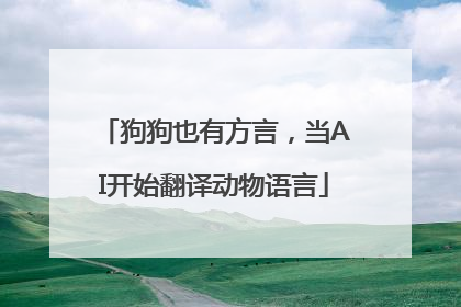 狗狗也有方言，当AI开始翻译动物语言