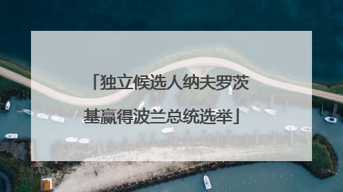 独立候选人纳夫罗茨基赢得波兰总统选举
