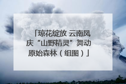琼花绽放 云南凤庆“山野精灵”舞动原始森林（组图）