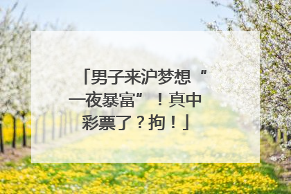 男子来沪梦想“一夜暴富”！真中彩票了？拘！