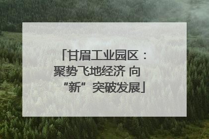 甘眉工业园区：聚势飞地经济 向“新”突破发展