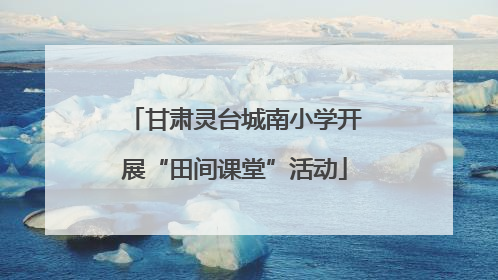 甘肃灵台城南小学开展“田间课堂”活动