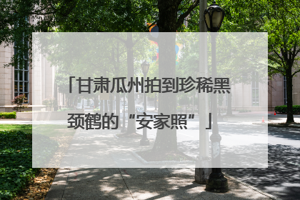 甘肃瓜州拍到珍稀黑颈鹤的“安家照”