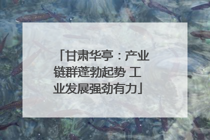 甘肃华亭：产业链群蓬勃起势 工业发展强劲有力