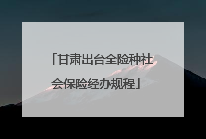 甘肃出台全险种社会保险经办规程