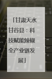 甘肃天水甘谷县：科技赋能辣椒全产业链发展
