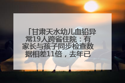 甘肃天水幼儿血铅异常19人跨省住院：有家长与孩子同步检查数据相差11倍，去年已有幼儿出现症状
