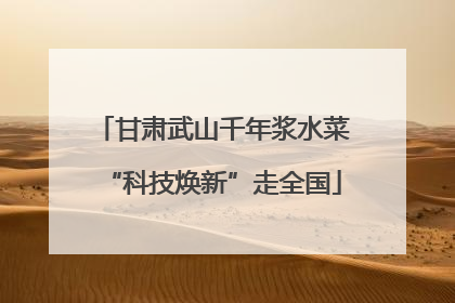 甘肃武山千年浆水菜“科技焕新”走全国