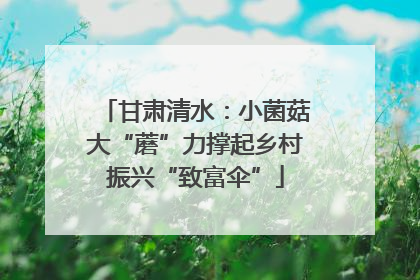 甘肃清水：小菌菇大“蘑”力撑起乡村振兴“致富伞”
