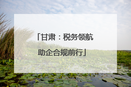 甘肃：税务领航 助企合规前行