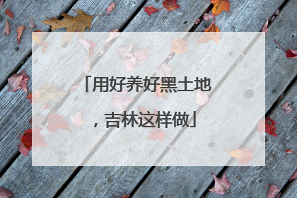 用好养好黑土地，吉林这样做