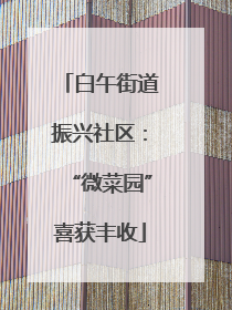 白午街道振兴社区：“微菜园”喜获丰收