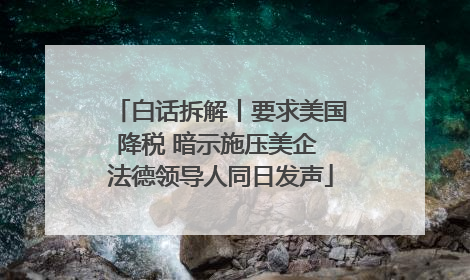 白话拆解丨要求美国降税 暗示施压美企 法德领导人同日发声