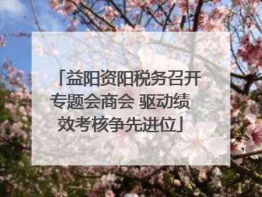 益阳资阳税务召开专题会商会 驱动绩效考核争先进位