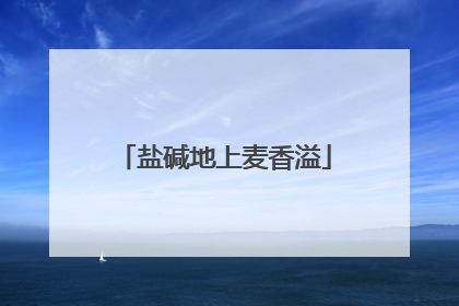 盐碱地上麦香溢
