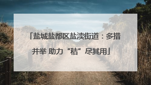盐城盐都区盐渎街道：多措并举 助力“秸”尽其用