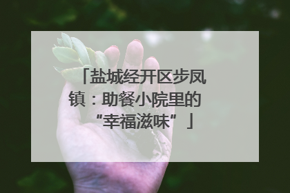 盐城经开区步凤镇：助餐小院里的“幸福滋味”