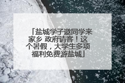 盐城学子邀同学来家乡 政府请客！这个暑假，大学生多项福利免费游盐城