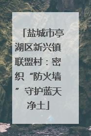 盐城市亭湖区新兴镇联盟村：密织“防火墙”守护蓝天净土