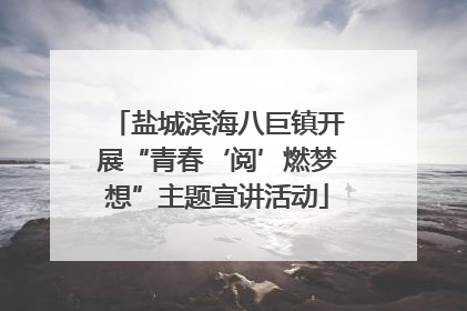 盐城滨海八巨镇开展“青春‘阅’燃梦想”主题宣讲活动
