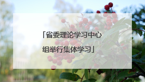 省委理论学习中心组举行集体学习