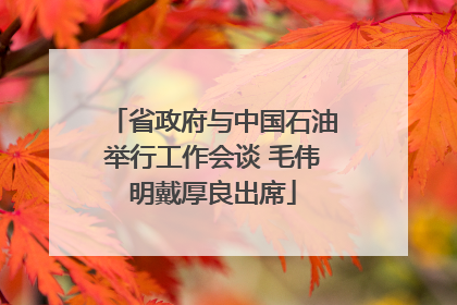 省政府与中国石油举行工作会谈 毛伟明戴厚良出席