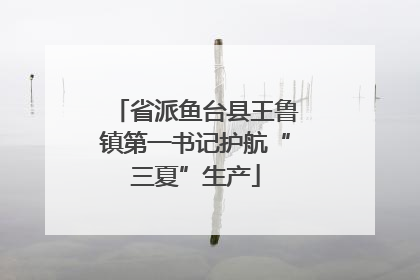 省派鱼台县王鲁镇第一书记护航“三夏”生产