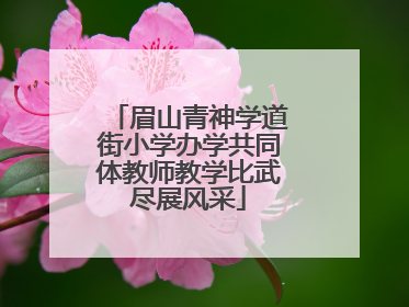 眉山青神学道街小学办学共同体教师教学比武尽展风采