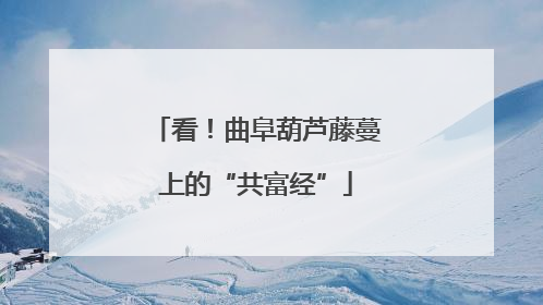 看！曲阜葫芦藤蔓上的“共富经”