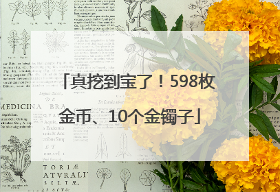 真挖到宝了！598枚金币、10个金镯子