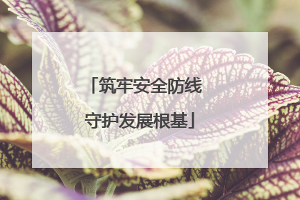 筑牢安全防线 守护发展根基
