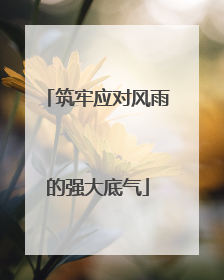 筑牢应对风雨的强大底气