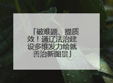 破难题、提质效！通辽法治建设多维发力绘就善治新图景