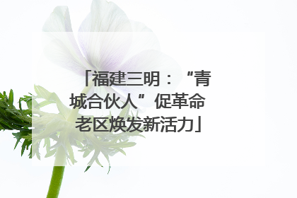 福建三明：“青城合伙人”促革命老区焕发新活力