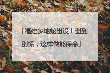 福建多地蛇出没！遇到别慌，这样做能保命