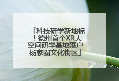 科技研学新地标！德州首个XR大空间研学基地落户杨家圈文化街区