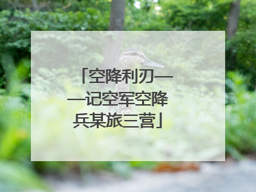 空降利刃——记空军空降兵某旅三营