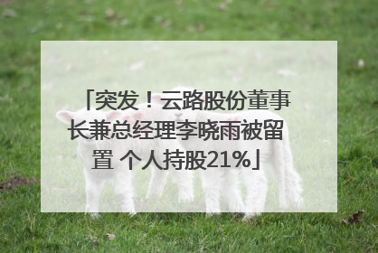 突发！云路股份董事长兼总经理李晓雨被留置 个人持股21%