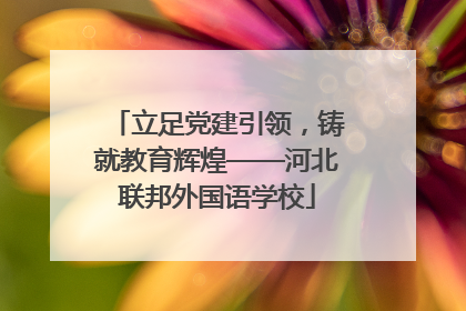 立足党建引领，铸就教育辉煌——河北联邦外国语学校
