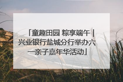童趣田园 粽享端午｜兴业银行盐城分行举办六一亲子嘉年华活动