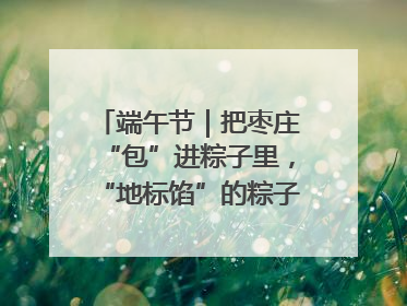端午节｜把枣庄“包”进粽子里，“地标馅”的粽子诞生了！